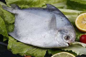 鳊鱼扁鱼银鱼银鲳海鲜海味