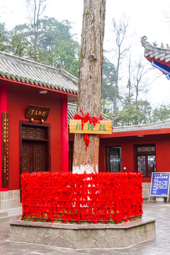 贵州贵阳黔灵山公园弘福寺摇钱树