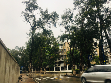 公路景观