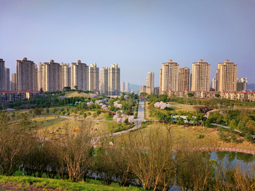 春天的公园