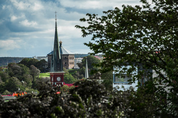 风景