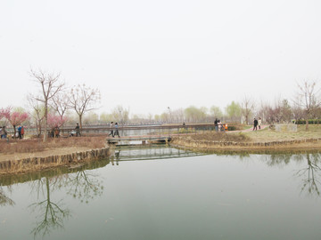 郑州市北龙湖湿地公园