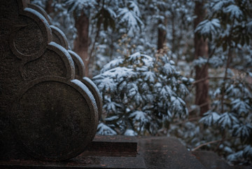 九溪枫叶雪景