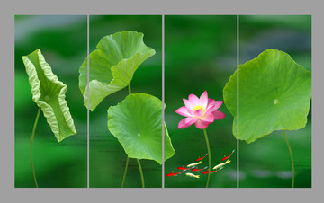 荷花九鱼图