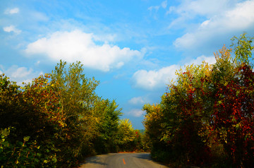 千山积翠山公路树木与蓝天彩云