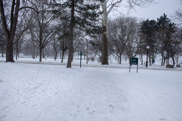 雪景