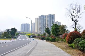 街景绿化