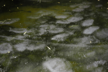 河水里的冰