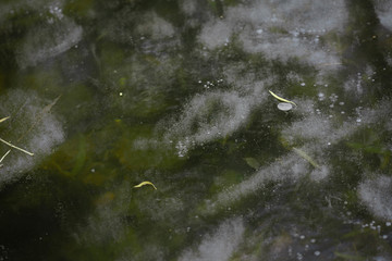 河水里的冰