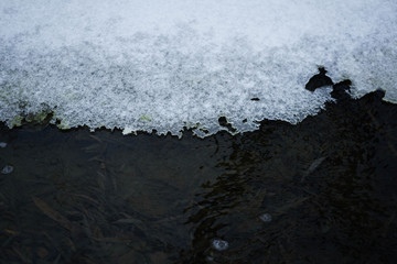 湖里的雪