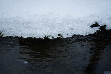 湖里的雪