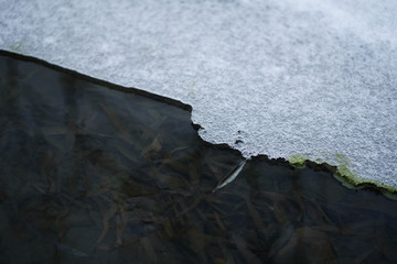 湖里的雪