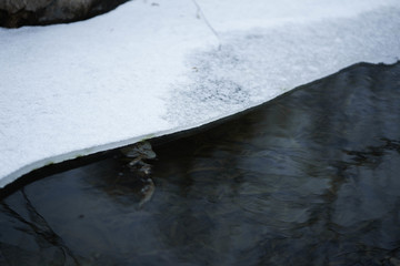 湖里的雪