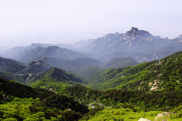 水墨泰山