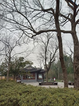 瘦西湖风景