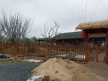 甘泉樱花林
