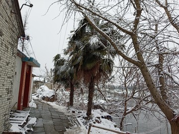 下雪了