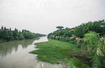 西溪湿地