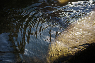 水纹