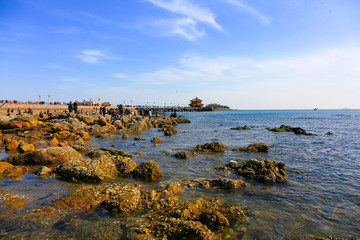 青岛栈桥海边风景