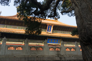 北京市孔庙大成殿