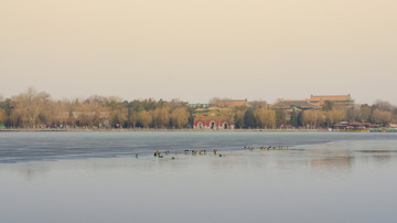 北京市北海公园冬日风景