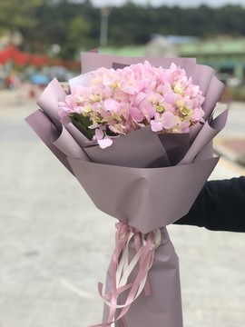 粉色绣球花