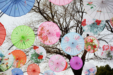 彩色装饰伞
