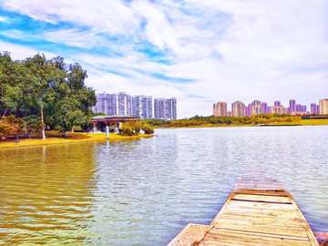 苏州白塘湖生态植物园湖畔风景