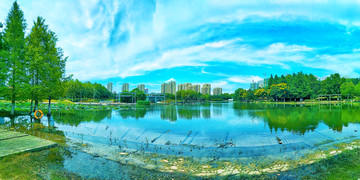苏州白塘湖生态植物园湖畔风景
