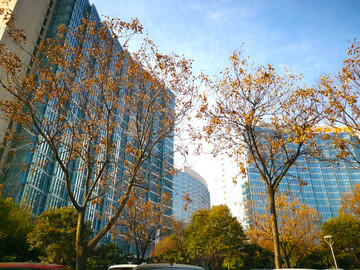 城市建筑