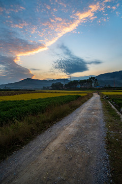 黄昏乡间小道