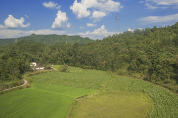 乡土绿意好风景