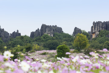 乃古石林风景区