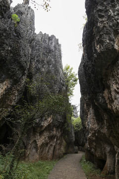 乃古石林风景区