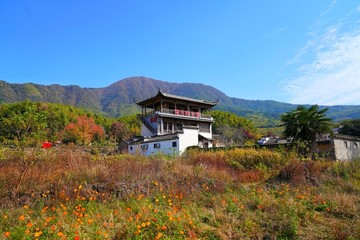 塔川秋色