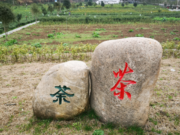 标志石头
