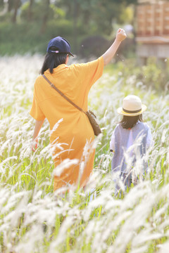 原野田野里的母女草丛中的孩子踏