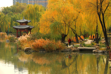 紫竹公园的秋色