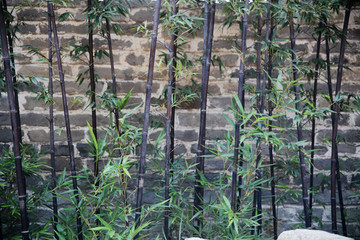 竹子砖墙背景