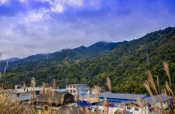 大山村