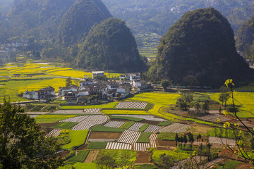 万峰林春色13