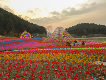 风车节