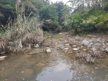 小溪溪水