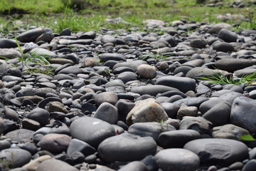 石头小石头石子鹅卵石