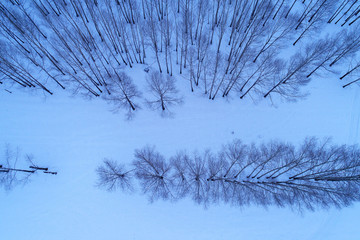 航拍雪原小树林