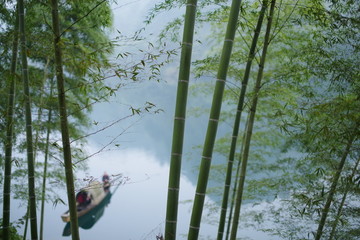 水边的竹林