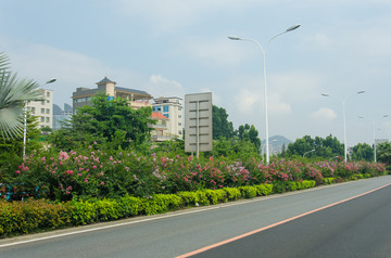 公路道路绿化