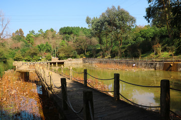 池塘