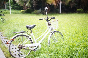 草坪单车